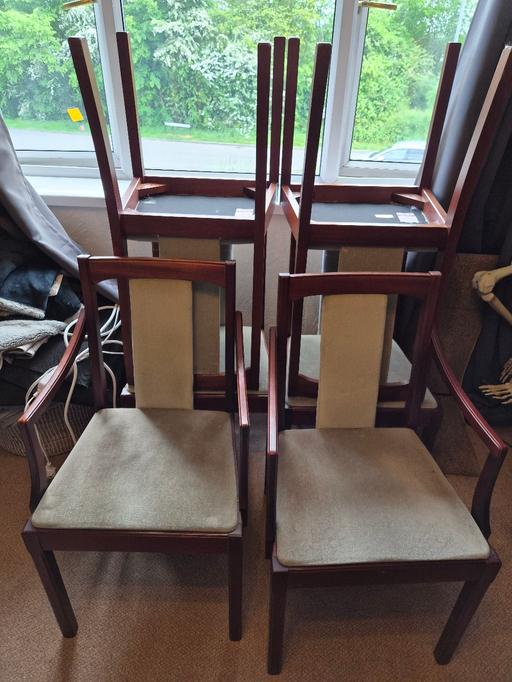  — 6x dinning chairs ( pick up only )