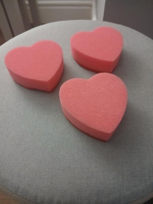  — Heart Cleaning Sponges New