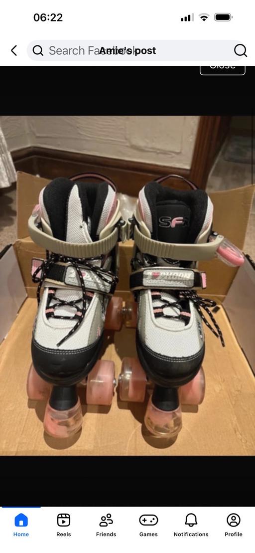  — Roller skates
