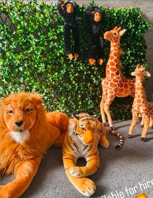  — wild animals