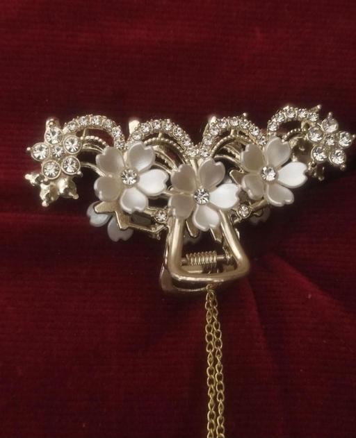  — New beautiful hair clip