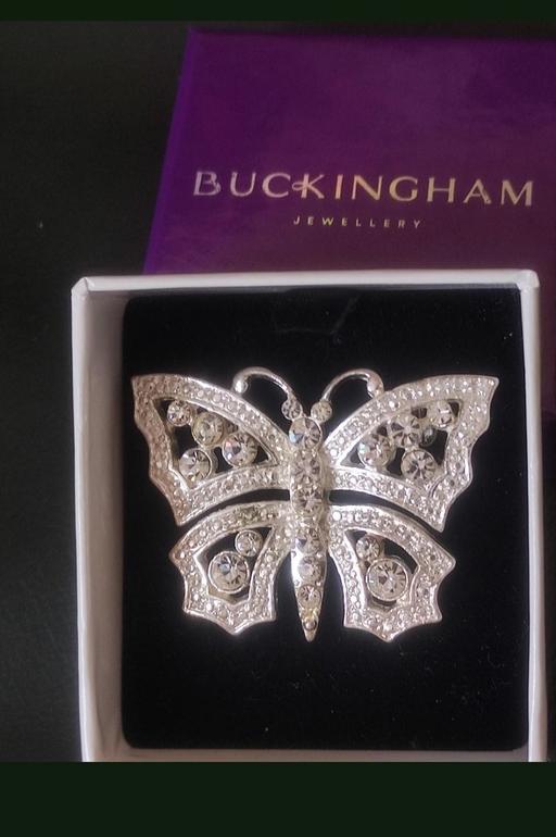  — Beautiful butterfly brooch
