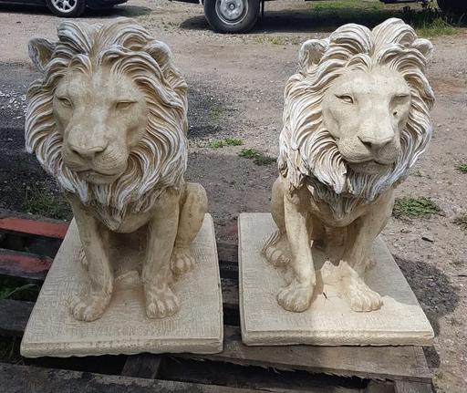  — Extra Large Lions