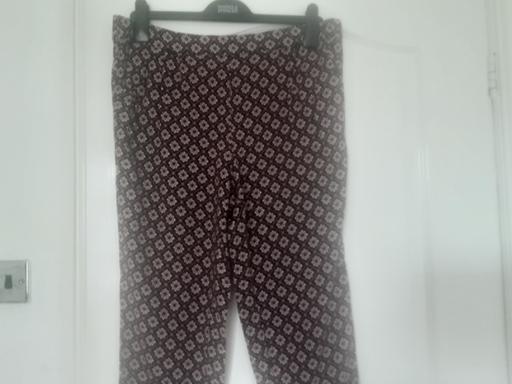  — ladies size 14 Papaya bottoms