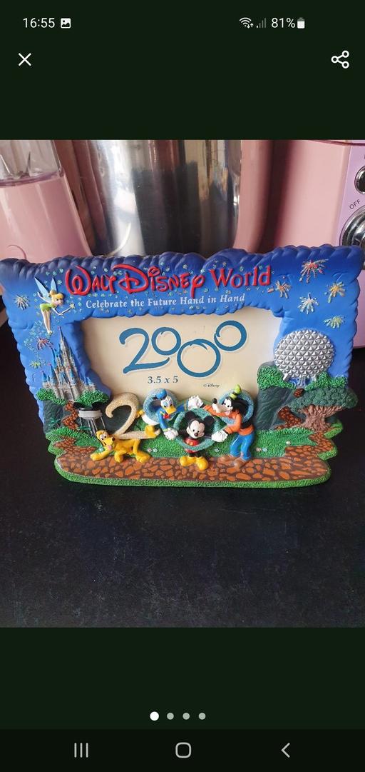  — walt disney world photo frame