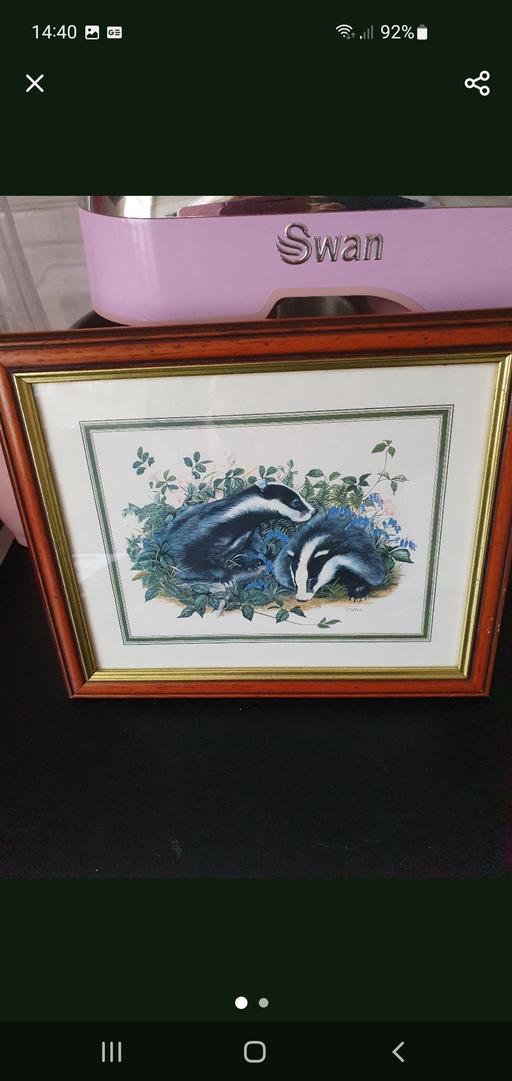  — vintage wildlife picture