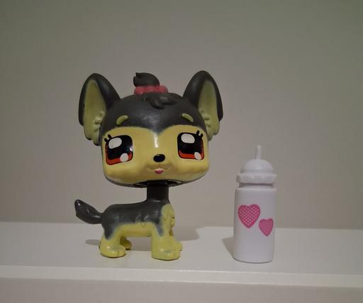  — little pet with bottle