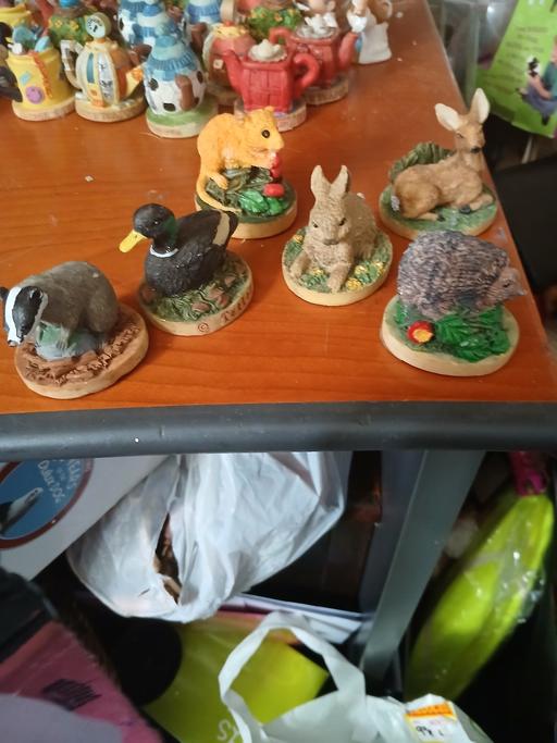  — 6 typhoon tea animals