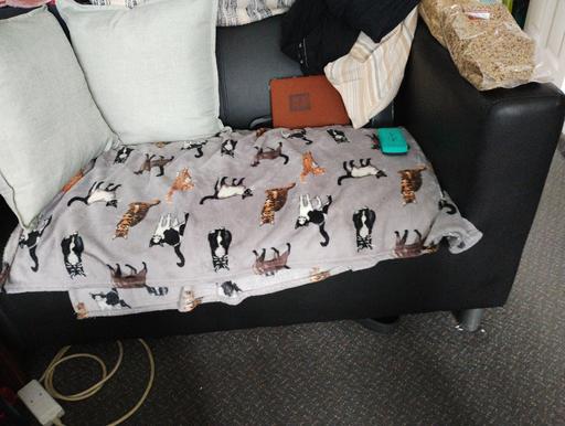  — small leather sofa