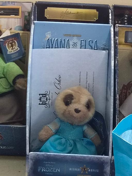  — meerkat