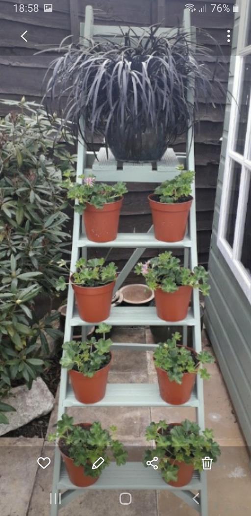  — garden wooden ladders