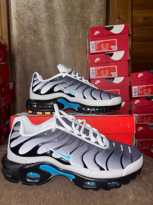  — Nike Air Max Plus x One Block Down