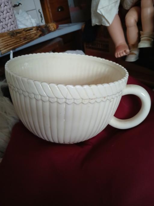  — big cup plant pot