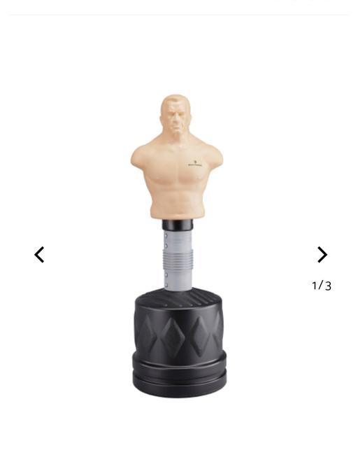  — punching bob