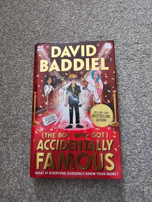  — David Baddiel Accidentally Famous 
Hardback