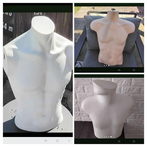  — mannequin male torso 3 different available 