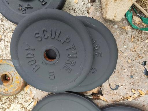  — gym equipment castiron weights 2 x 5 kg