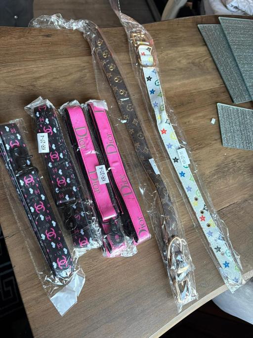  — dog lead & collars