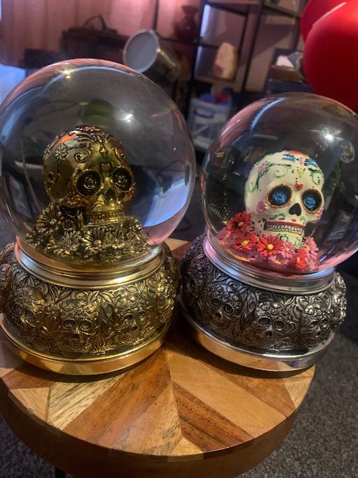  — 💀 Pair of Skull Snow Globes