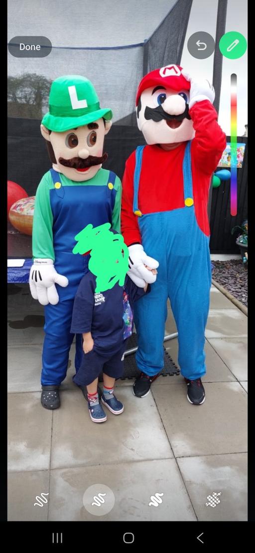  — mario and Luigi costume