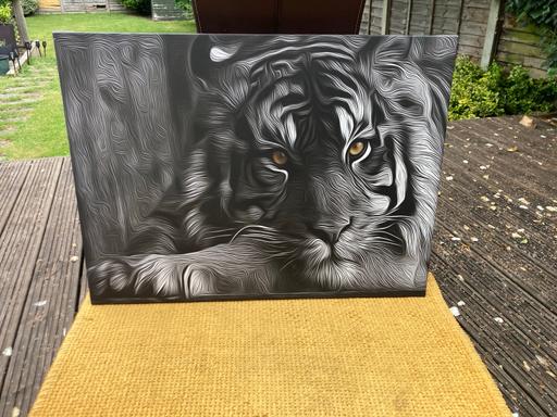  — White Tiger - canvas (102x77)