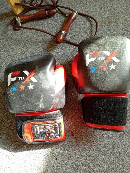  — 16oz boxing gloves