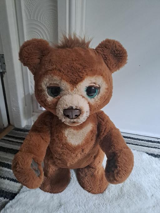  — interactive bear