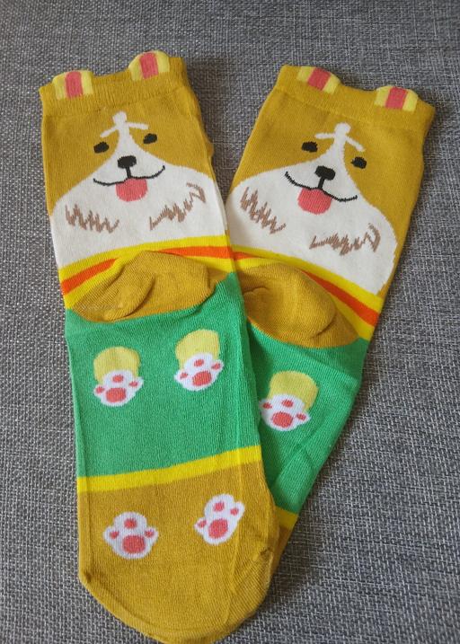  — One Size Socks New