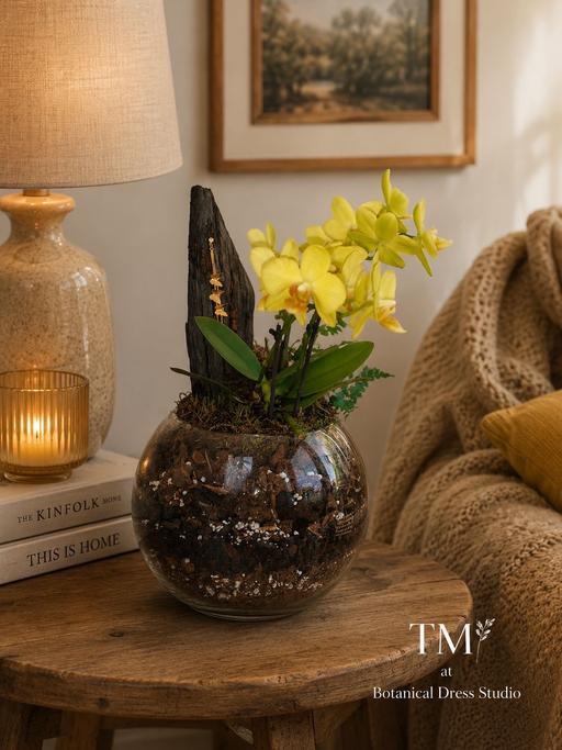  — Orchid bowl driftwood display