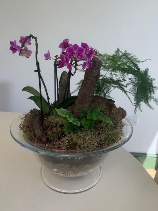  — Studio glass orchid and fern arrangement