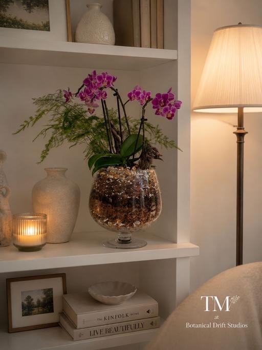  — Driftwood orchid and fern arrangement