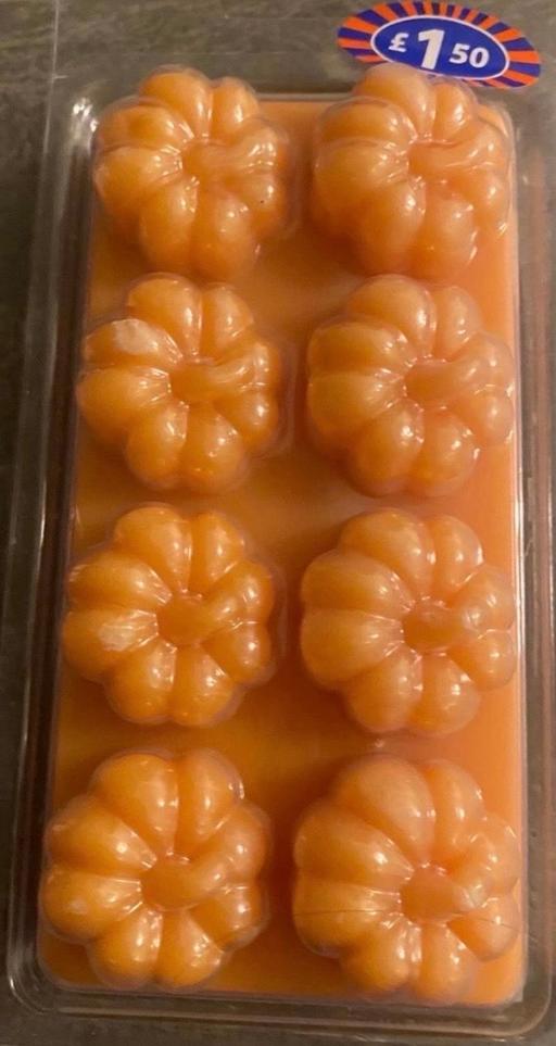  — 2 packs of pumpkin wax melts