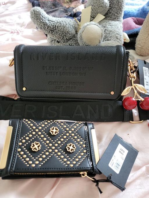  — brand new river island bag and purse