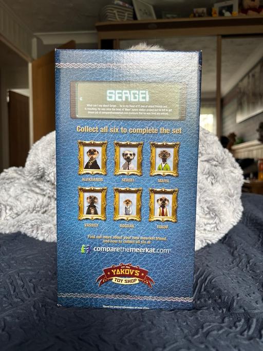  — Sergei Teddy