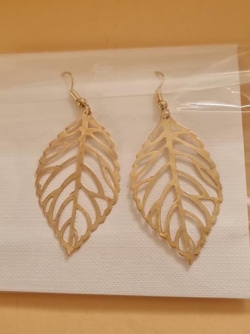  — New earrings