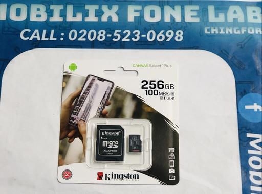  — 256GB MICRO SD Kingston Memory Card