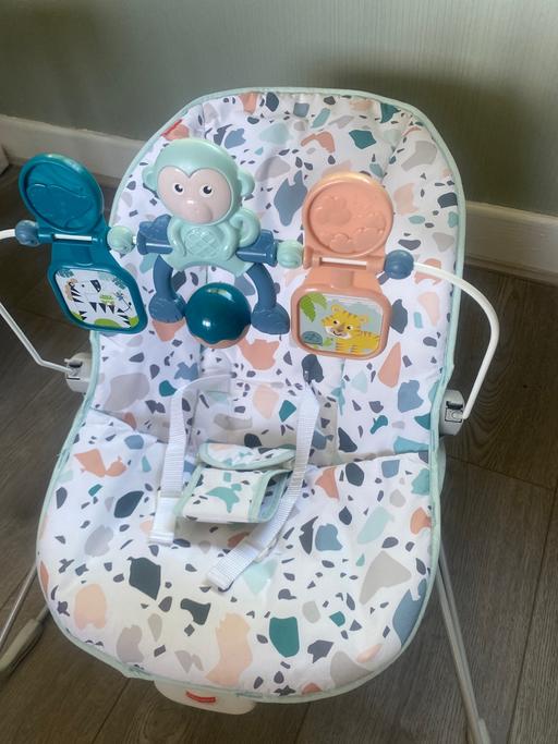  — Fisher price baby bouncer