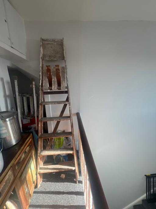 — Wooden ladder
