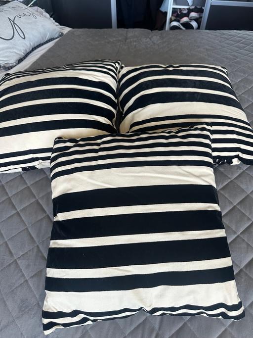  — Dunelm cushions x 3    43 x 43 cm