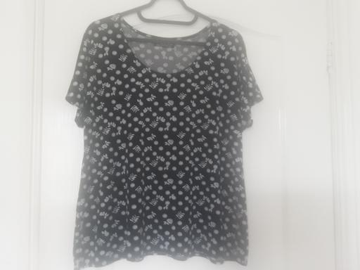  — ladies size 18 Saloos top