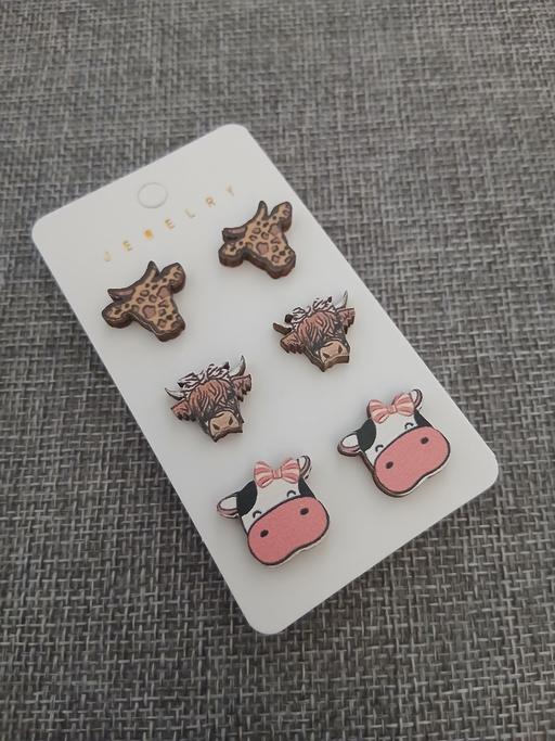  — Earrings New