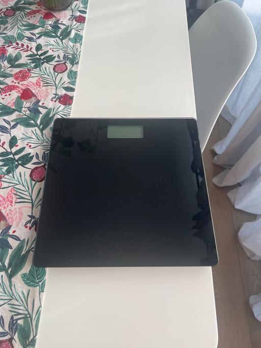  — Body scale