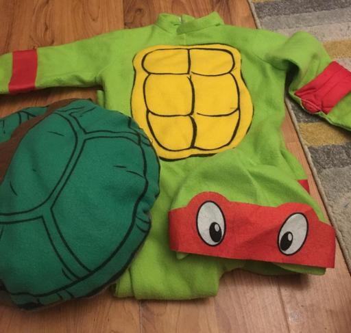  — 3-4 year old turtle dress up