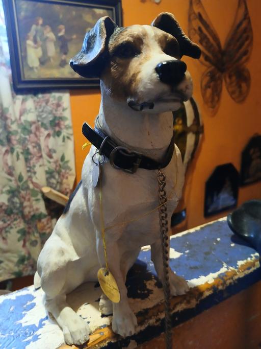  — jack russel dog  11 ins  guessing