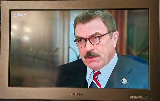  — Bush BLCD26H8 26-inch Wide Screen LCD TV