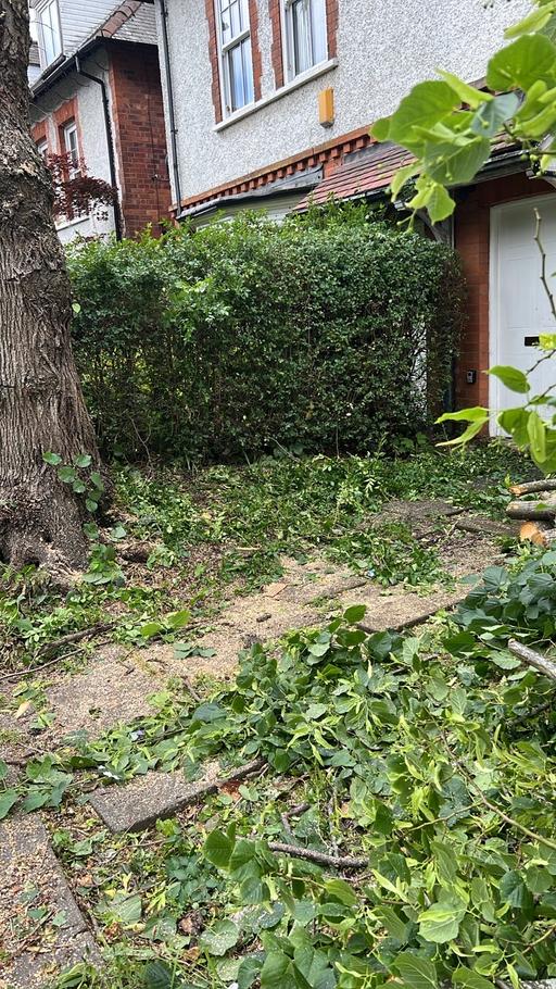  — Tree cutting removal,hedge treem,garden cl