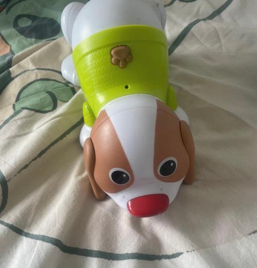  — Children’s walking dog
