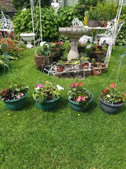  — 4 Hanging baskets