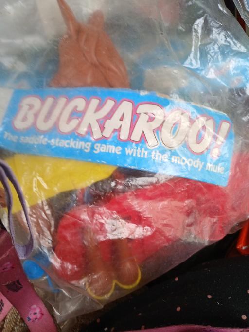  — buckaroo