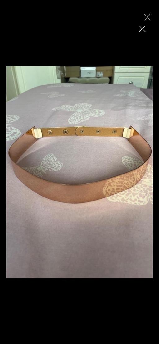  — Metal Belt